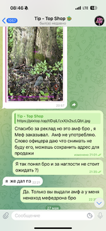 IMG_1428.png