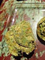 IMG_20250528_201236_734.jpg