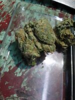 IMG_20250528_201158_291.jpg