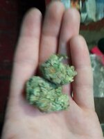 IMG_20250528_201132_462.jpg