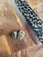IMG_1895.jpeg IMG_1895.jpeg