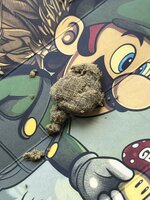 IMG_1263.jpeg