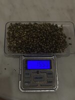IMG_5732.jpeg