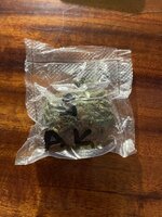 IMG_3682.jpeg