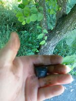 IMG_20250531_122658_929.jpg
