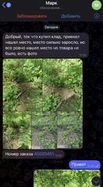 IMG_1500.jpeg