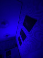 IMG_5242.jpeg
