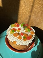 IMG_1449.jpeg
