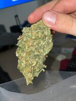 IMG_5700.jpeg