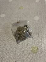 IMG_0102.jpeg
