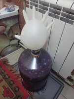 IMG_20221020_072332_083.jpg