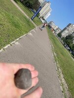 IMG_6945.jpeg