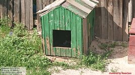 20250603_161235.jpg