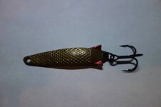 IMG_2777.jpeg