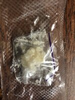 IMG_1040.jpeg