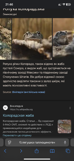 IMG_5312.png