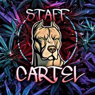 Staff Cartel