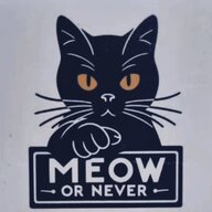 MEOWSTORE