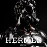 Hermes Boss