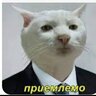 Коплеццц
