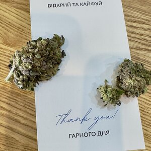 Фотографии каннабиса от радостных клиентов онлайн магазина bulkweed