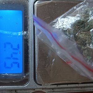 1000043825.jpg