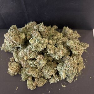 IMG_1755.jpeg