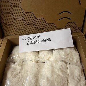 conclave(1).jpg