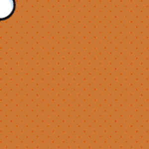 IMG_2797.gif