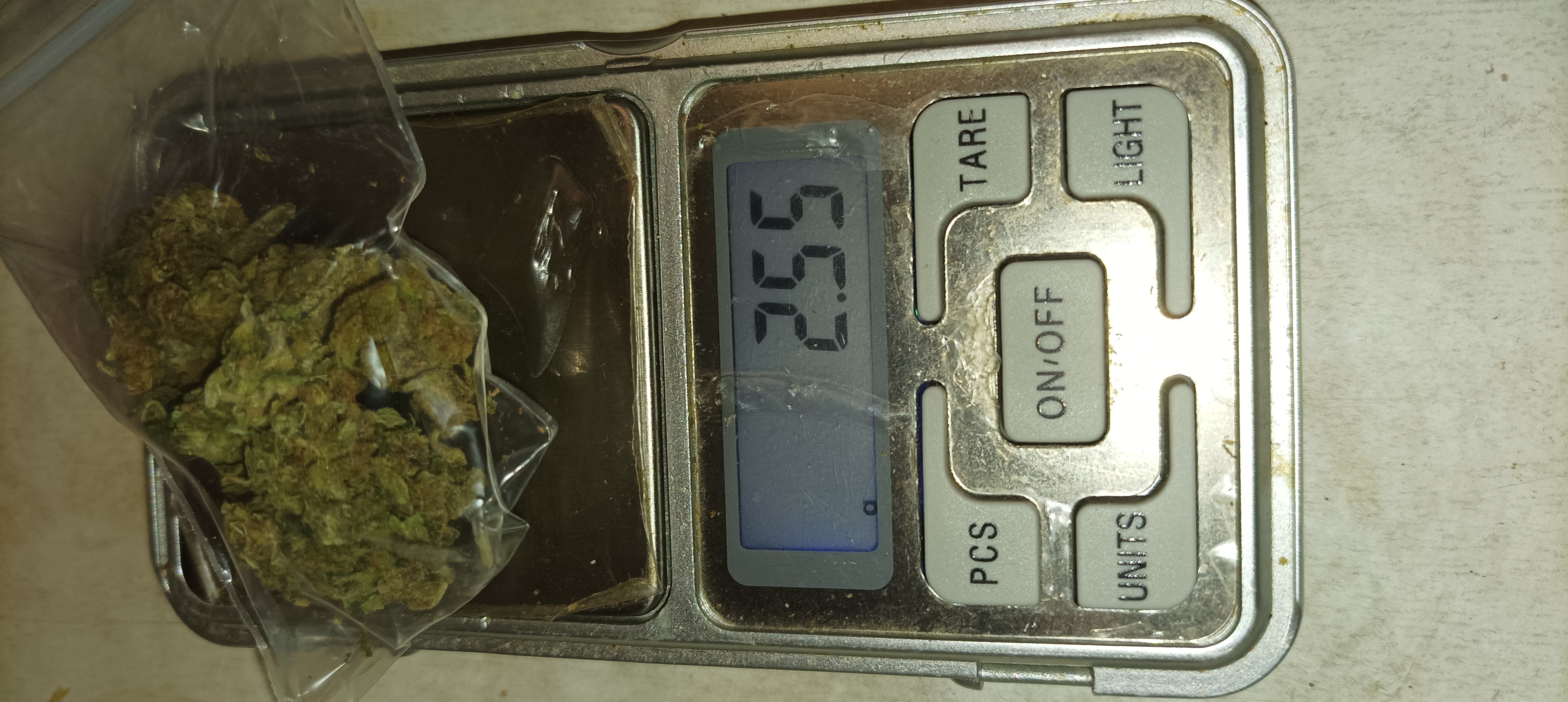1000054017.jpg