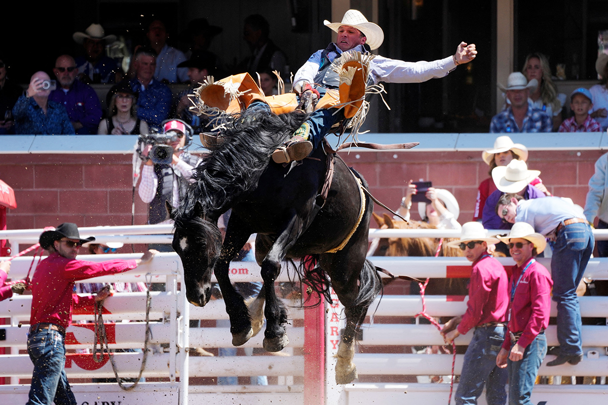 Ричмонд Чемпион из Стивенсвилла, штат Монтана, скачет на лошади во время соревнований по родео во время фестиваля Calgary Stampede в Калгари, Альберта, Канада 8 июля 2024 года. Фото: Reuters