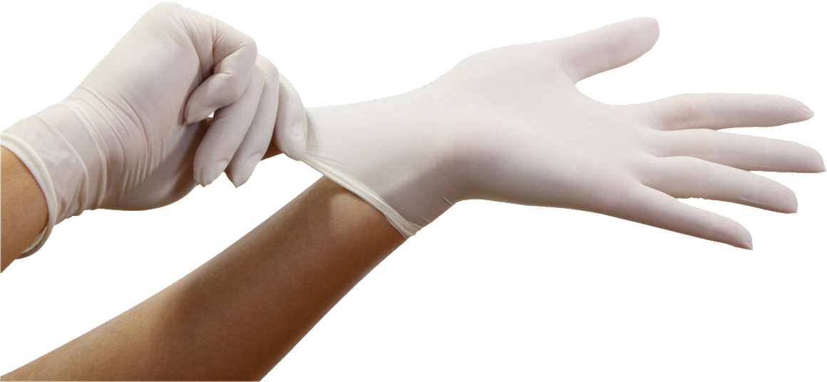 gloves_PNG8321.png