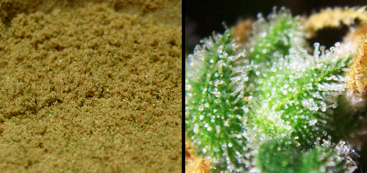 what-is-kief-2-0.jpg