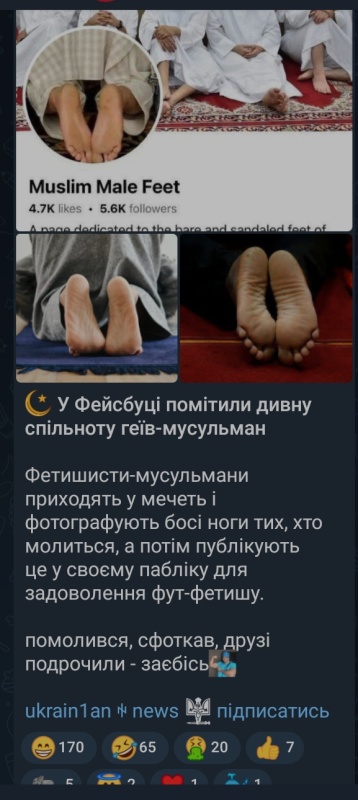 9sFLhqZo_t.jpg