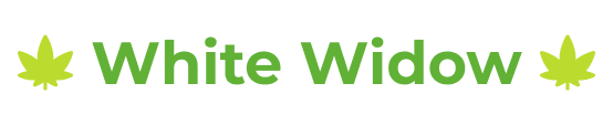 wZpbDRSNnW.png