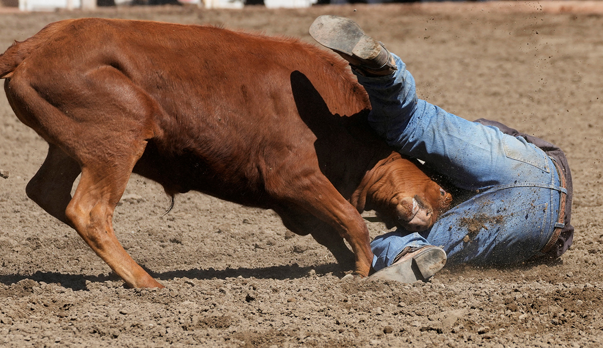 Джейкоб Адлер из Альвы, штат Оклахома, получает удар от быка во время соревнований по борьбе с быками во время родео на Calgary Stampede в Калгари, Альберта, Канада, 8 июля 2024 года. Фото: Reuters