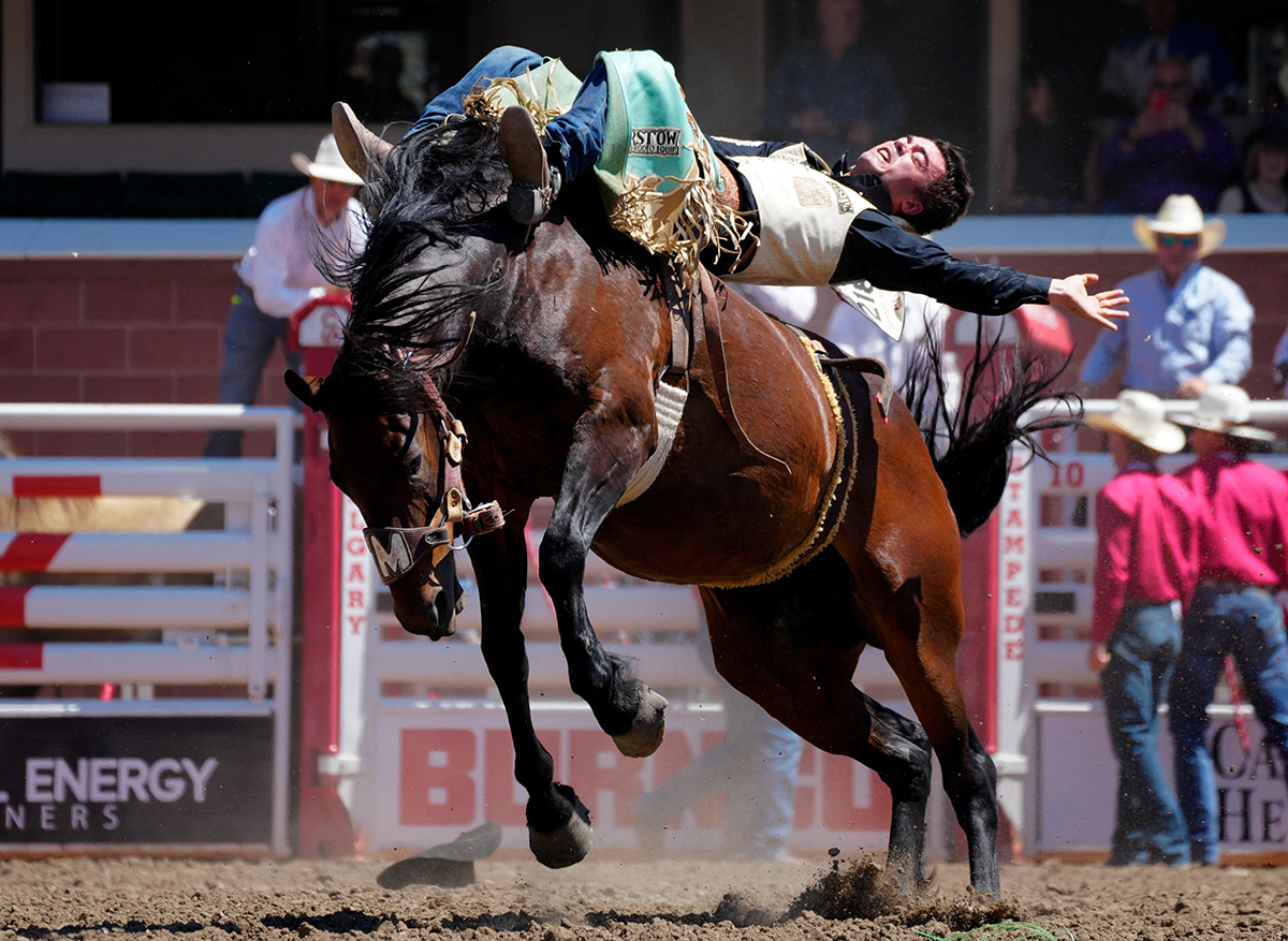 Брэдли Миллер из Хантсвилла, штат Техас, скачет на лошади во время соревнований по родео на Calgary Stampede в Калгари, Альберта, Канада, 8 июля 2024 года. Фото: Reuters