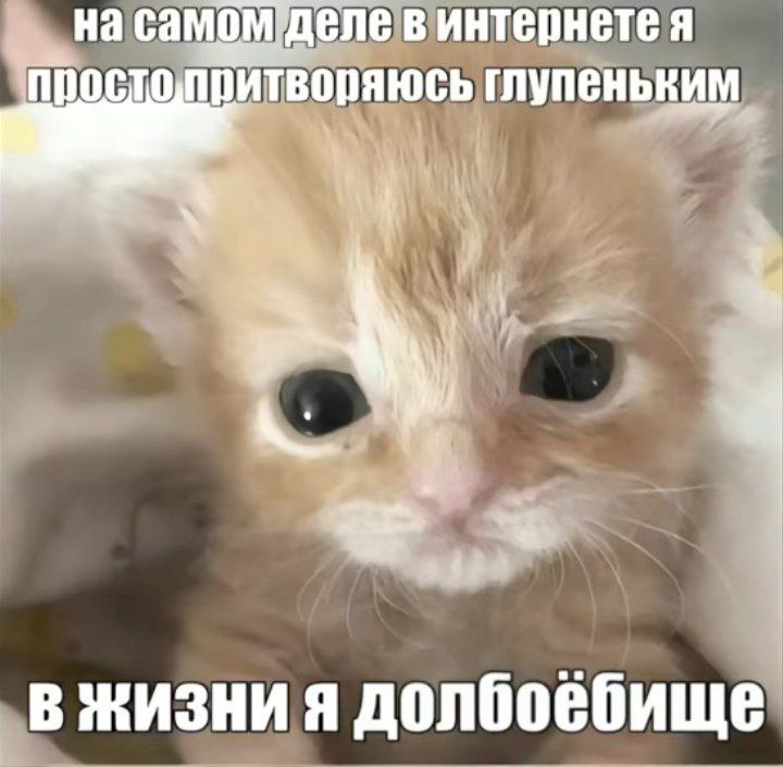 IMG-20250424-235556-548.jpg