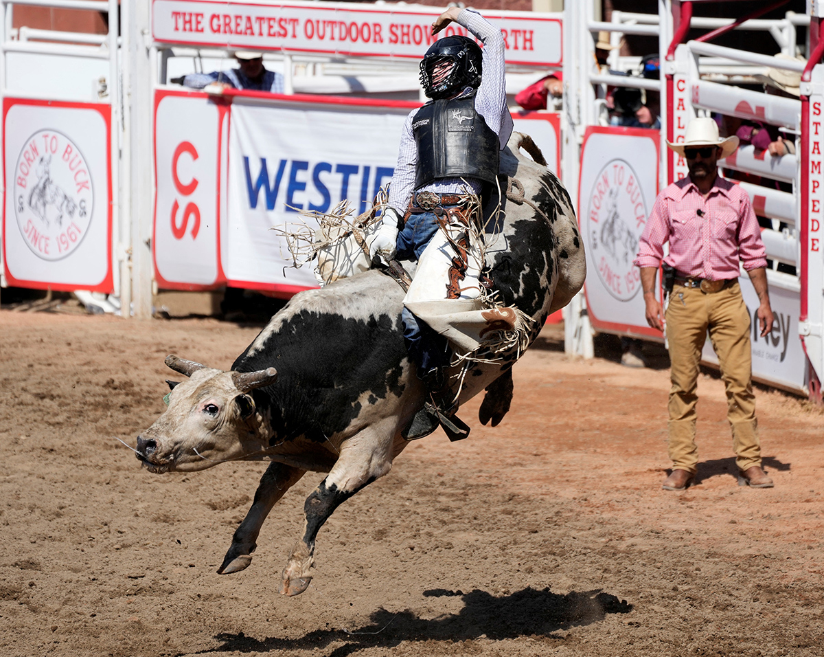 Рокер Штайнер из Уэзерфорда, штат Техас, старается удержаться на быке во время соревнований по верховой езде на быках на Calgary Stampede в Калгари, Альберта, Канада 8 июля 2024 года. Фото: Reuters